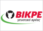 λογότυπο της bikrekreatoskeuasmata