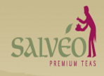 λογότυπο της salveotea